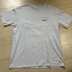 Patagonia パタゴニア Tシャツ Lサイズのサムネイル