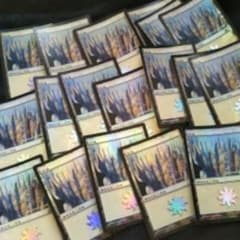 MTG 平地ＦＯＩＬセット　17枚セットのサムネイル