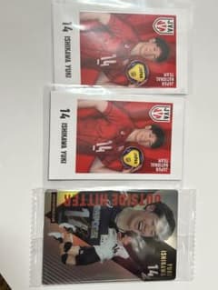 男子バレー バレーボール 石川祐希 チェキ風カード ウエハース 3枚