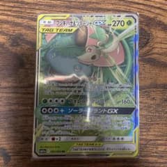 フシギバナ＆ツタージャGX RR SM11a 001/064のサムネイル