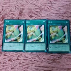 調律３枚セットのサムネイル