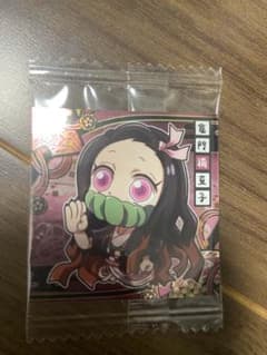 鬼滅の刃 竈門禰豆子のサムネイル