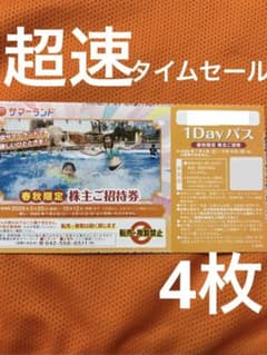 超速　ネコポス　春秋限定　サマーランド　プール　チケット　フリーパス　4枚pnのサムネイル