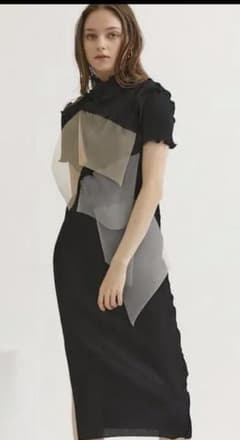 【Am様専用】シースルーショートスリーブドレスハイネックのサムネイル