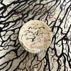 m87344936179_1.jpg?1744799195