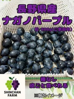 長野県産 ナガノパープル 粒800gのサムネイル