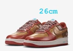 NIGO j-hope Nike Air Force 1 '01 Low 26