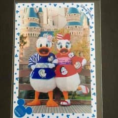 ディズニー☆スペシャルフォト☆ドナルド&デイジーのサムネイル