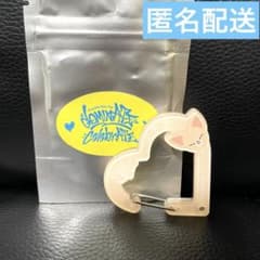 スキズ dominATE celebrATE アクリルカラビナ フォクシニーのサムネイル