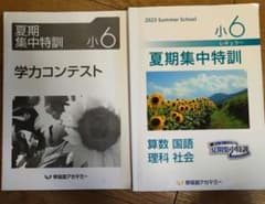 早稲田アカデミー2023年夏期集中特訓テキスト小6算数国語理科社会学力
