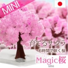 まじっくさくら　Magic桜　MINIのサムネイル