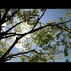 ★あやちゃんさん専用★のサムネイル