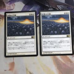 MTG 日本語　神聖の力線　2枚のサムネイル