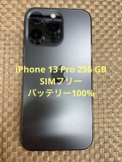 iPhone 13 Pro 256 GB グラファイトSIMフリー【4303】 - メルカリ