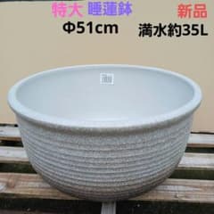 新品∅43　5点セット　陶器睡蓮鉢　メダカ鉢　難有　白　ホワイト　ルーバーMWH 新品 特大Φ51 陶器 睡蓮鉢 メダカ鉢 難有 白 ホワイト ルーバー高級LWH