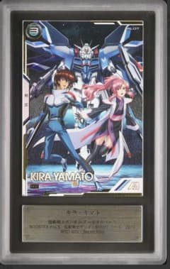 m87366148635_1.jpg?1740113673