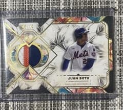 Juan Soto Topps Diamond icons patch /10のサムネイル