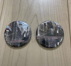 Eve　アルバム　Round　Robin アニメイト購入特典　缶バッチ2個セット