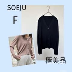 極美品　SOEJU　ソージュ　Vネックショートニットカーディガン　ブラック　F 極美品 SOEJU ソージュ Vネックショートニットカーディガン ブラック F