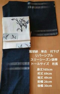 本場琉球絣　単衣　付下げとスリーシーズンリバーシブル袋帯のセット　正絹 本場琉球絣 単衣 付下げとスリーシーズンリバーシブル袋帯のセット