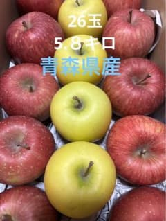 青森県産りんご　ミニサイズ　ミックスのサムネイル