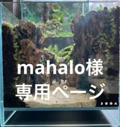mahalo様専用ページ　超硬質赤玉土　5ℓのサムネイル