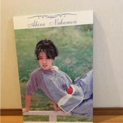 中森明菜パネルのサムネイル
