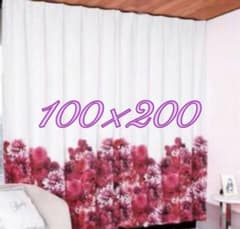 Rady カーテン リゾフラ 100x200 2枚セットのサムネイル