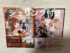 お飾りの側妃ですね?わかりました。どうぞ私のことは放っといてください! 1 他