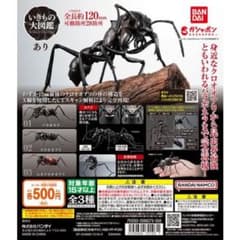 いきもの大図鑑　あり　パラポネラのサムネイル