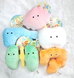 にんげんのからだ ぬいぐるみ Part2 全5種セット - メルカリ