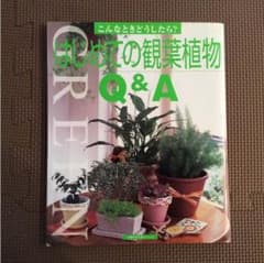 「はじめての観葉植物Q&A」のサムネイル