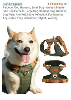 犬用ハーネス グリーン Mサイズのサムネイル