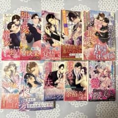専用】新刊 エタニティブックス・ルネッタブックス・蜜夢文庫