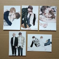 特典「美しい彼 シリーズ」ホーリンラブブックス限定 ブロマイド（全5