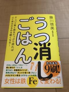うつ消しごはん タンパク質と鉄をたっぷり摂れば心と体はみるみる軽くなる!のサムネイル