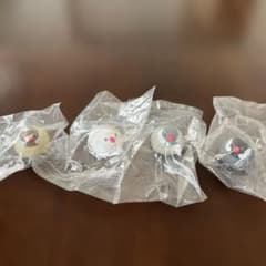 文鳥 フィギュア カプセルトイ 4種セットのサムネイル