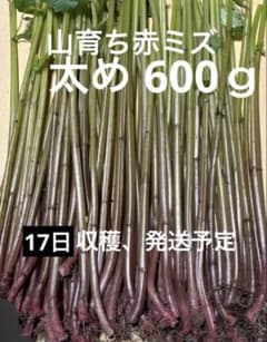 かおかお様専用ページ♡ 【17日収穫予定】のサムネイル