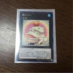 餅カエルのサムネイル
