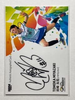 m87450160158_1.jpg?1762043521