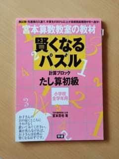 【未使用】宮本算数教室の賢くなるパズル : たし算・初級のサムネイル