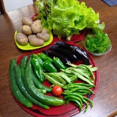 新鮮野菜詰め合わせセットのサムネイル