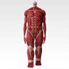 Attack Titan Colossal Titan Figure