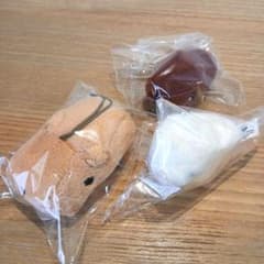 카피바라씨 미니 봉제인형 마스코트 정리 판매 어뮤즈먼트 한정
