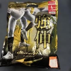 ミズノプロ ユニフォームパンツ ストレートフィット Lのサムネイル