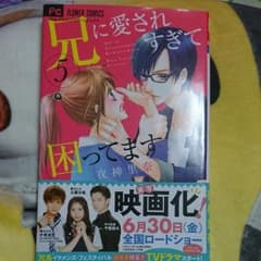 兄に愛されすぎて困ってます 5のサムネイル