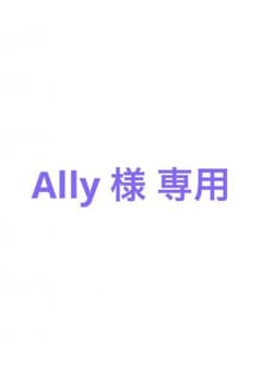 Ally様専用ページのサムネイル