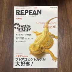 REPFAN フトアゴヒゲトカゲのサムネイル