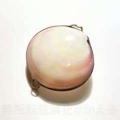 貝殻の小物入れのサムネイル