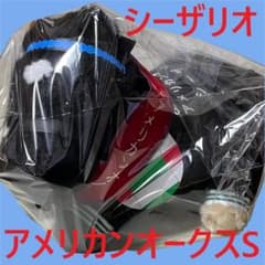 シーザリオ アイドルホース 競馬 ぬいぐるみ AVANTI ウマ娘 新品V⑦